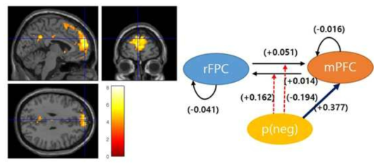 좌측: 부정적 피드백 확률을 계산하는 mPFC, 우측: 부정적 피드백에 의한 effective connectivity 변화 모델 (DCM 분석결과)