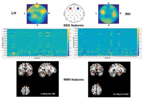 EEG-fMRI 데이터로부터 Deep CCA를 통해 얻은 가중치 특징 맵