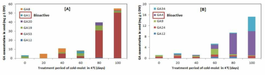 [A] The change of endogenous GA(early C-13 hydroxylation pathway) level in seed of G. littoralis along the treatment period of cold-moist in 4℃, [B] The change of endogenous GA(non C-13 hydroxylation pathway) level in seed of G. littoralis along the treatment period of cold-moist in 4℃