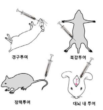 LPS 및 타깃조절 물질 투여