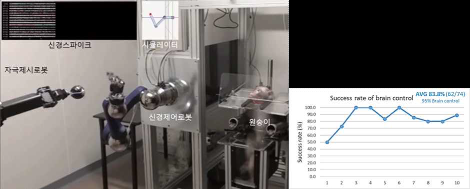 영장류 신경신호를 이용한 로봇 상지제어 (좌, 상지제어 모습; 우, 성공률)