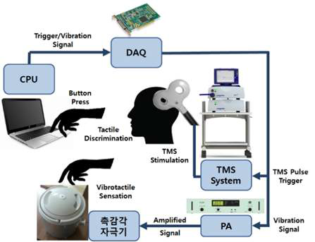 실시간 뇌자극 시퀀스가 가능한 시스템 구성도