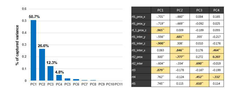 4개의 주성분 (94.6%) 및 이와 각 관절의 상관계수