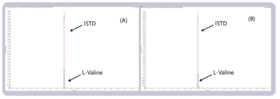 L-Valine(RT= 7.9 분)과 1-13C-Valine(내부표준물질, RT= 7.9 분)의 크로마토그램 (A: 표준용액, B:유리체액 시료)