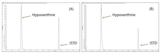 Hypoxanthine(Rt = 1.3min)과 내부표준물질(Rt = 4.4min)의 Chromatogram (A : Standard solution, B : Vitreous humor sample)