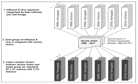 기계학습 적용을 위한 인플루엔자 바이러스 백신주-유행주 간 변이벡터 생성모식도