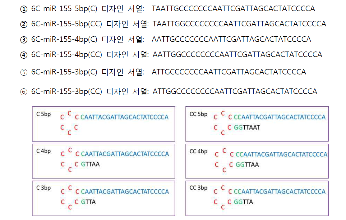 6C-miR-155 DNA-은나노 센서(2차) 디자인 서열