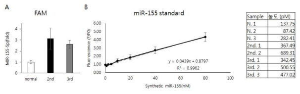혈청 내 miR-155 검출결과(A), miR-155의 standard Graph(B), 혈청 내 miR-155 농도(C)