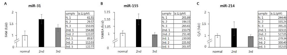 multiplex detection 기법으로 검출한 혈청 내 miR-31(A), miR-155(B), miR-214(C)