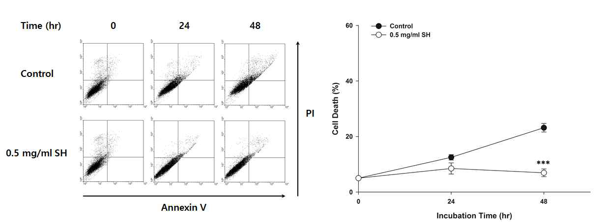SH의 세포사멸 억제 효과