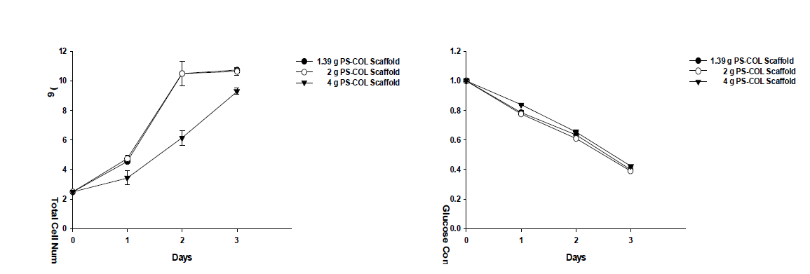PS-COL 스캐폴드의 초기 주입양에 따른 세포의 증식능 비교
