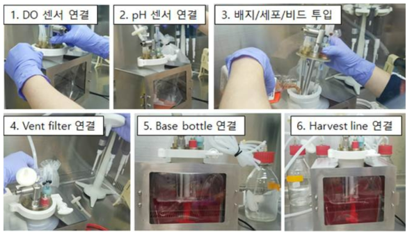 일회용 배양기를 이용한 줄기세포 배양 준비 과정