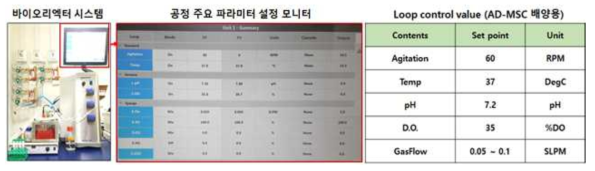 일회용 바이오리액터 시스템 주요 파라미터 설정값