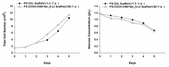 스마트 스캐폴드를 이용한 줄기세포 증식능(좌) 및 글루코스 소비양(우)