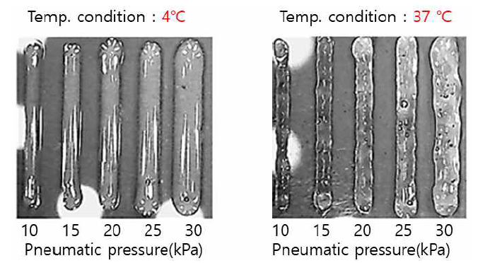 온도 및 공압조건에 따른 바이오잉크의 Printability 특성