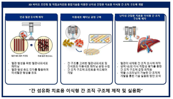 3D 바이오 프린팅 및 직접교차분화 융합기술을 이용한 난치성 간질환 치료용 이식형 간 조직 구조체 개발 연구 개요