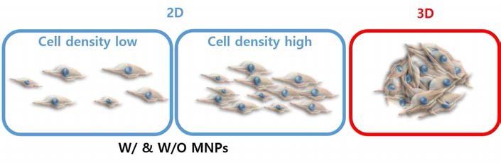 세포 간 network 형성 및 뭉치는 힘을 비교하기 위한 5가지 실험군 모식도