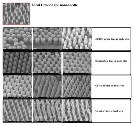 cone-shape nanoneedle image 및 최종 컨디션 작업 이미지