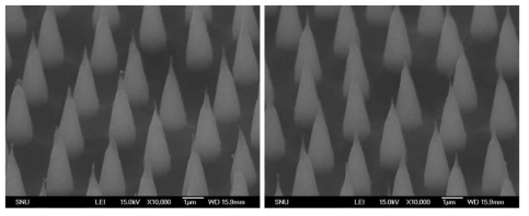 cone-shape polymer nanoneedle 전자현미경 이미지