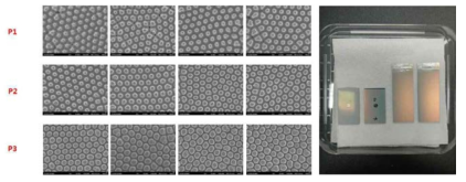 제작 및 배포된 세포배양용 나노구조표면 전자현미경 이미지 및 몰드 사진 (좌측 2cm*3.5cm, 우측 새롭게 제작중인 2cm*4.7cm)