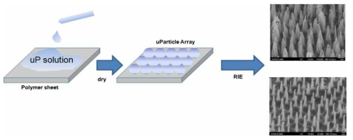 고분자 기반 나노니들 제작 모식도 및 RIE 조건에 따른 다른 양상의 니들 전자현미경 이미지