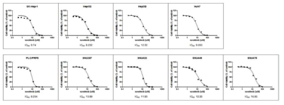 간암세포주의 sorafenib 감수성 검사