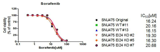 EI24 제거한 SNU475 세포의 soranfenib 감수성 검사