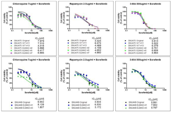 autophagy inducer 및 inhibitor가 간암세포주의 sorafenib 반응성에 미치는 영향