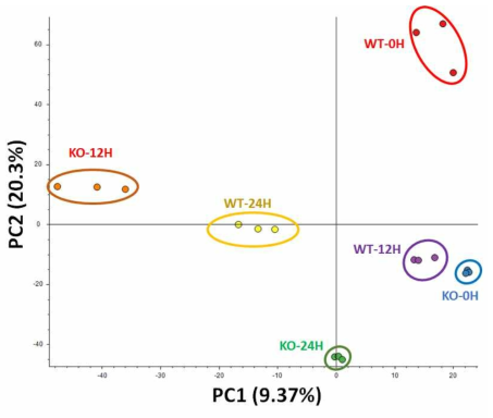 6개 세포주에 대한 LC-MS분석의 PCA 결과