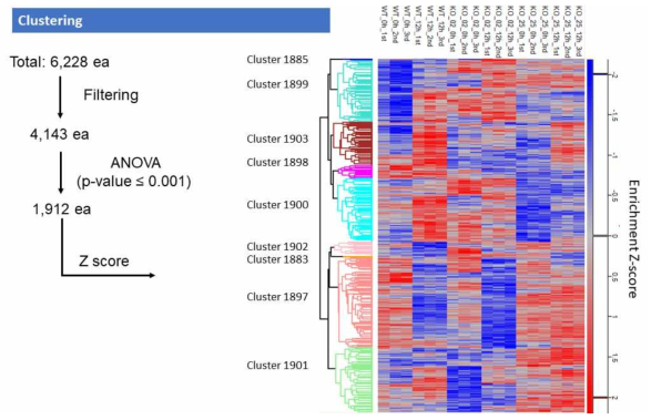 6개 세포주에 대한 Clustering