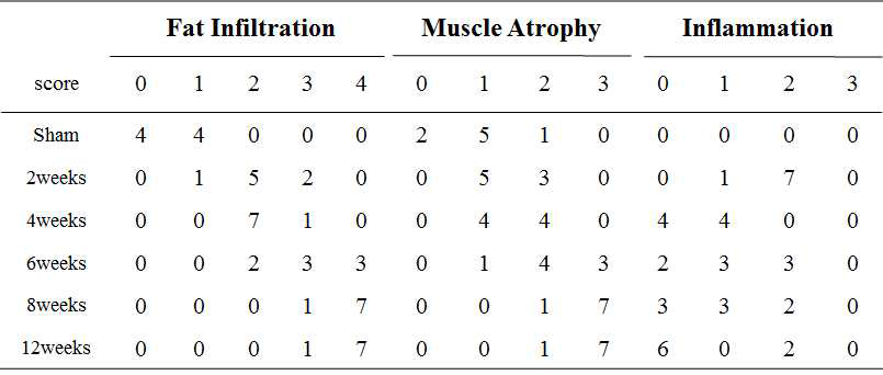 일관된 조직학적 평가하기 위해 scapular Y-shape 의 극상근 부위 지방변성, 근육 위축, 염증 정도를 값으로 나타냄