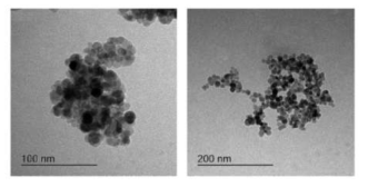 TEM images of CoFC-MNPs,(좌) and NiFC-MNPs(우)