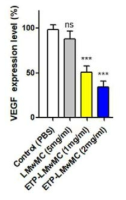 ELISA로 VEGF 단백질 발현율 측정