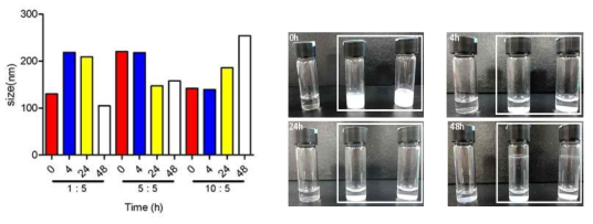 Etoposide solubility 실험