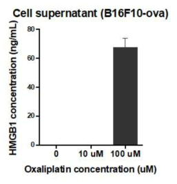 경구용 Oxaliplatin/DCK nanoemulsion 복합체를 10, 100uM으로 처리한 B16F10-OVA세포에서 ELISA통한 HMGB-1 방출량 관찰