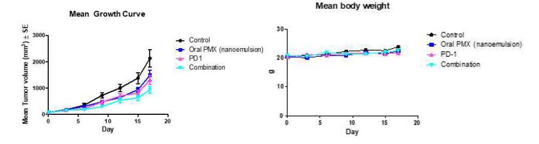 경구용 Pemetrexed/DCK 복합체와 항PD-1 항체 병용요법의 항암효능 평가 (LLC)
