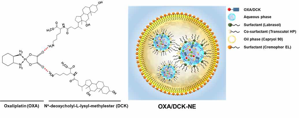 Oxaliplatin과 담즙산 유도체 경구흡수촉진제 (DCK) 복합체 및 이를 포함하는 경구 나노에멀젼 모식도