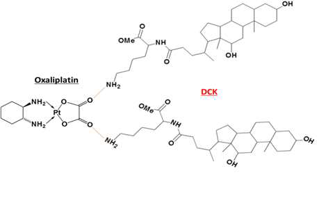 Oxaliplatin과 담즙산 유도체 경구흡수촉진제 (DCK)의 이온결합 복합체 형성 모식도