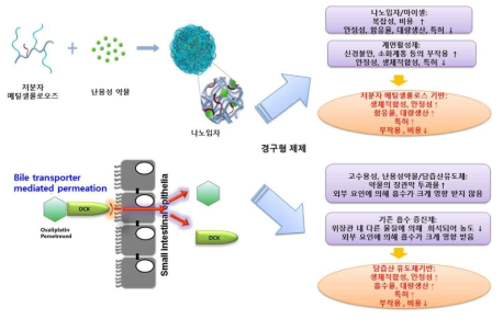 난용성 및 친수성 약물의 생체이용률 향상 및 효능 지속성 약물전달 플랫폼 기술개발 모식도