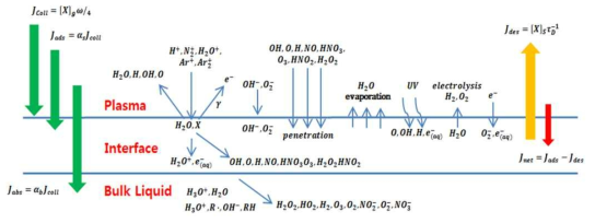 아르곤 가스 플라즈마-대기-액체간의 중요 활성종 및 반응기작에 관한 도식도