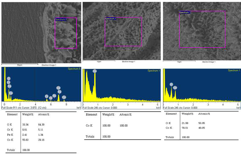 Co(NO)3 를 입힌 부분(왼쪽)과 수소가스 플라즈마를 조사(가운데)의 산소가스 플라즈마를 조사한(오른쪽) sus 304의 SEM-EDS 값