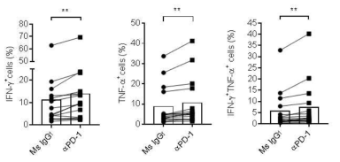 난소암에서 분리한 T cell에 anti PD1 추가에 대한 ex vivo study