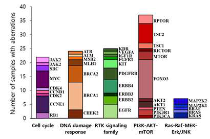 5종류의 functional pathway