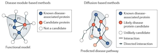 생체분자 네트워크에서의 질병 유전자(disease gene)가 이루는 질병 모듈의 개념과 질병유전자들의 상호작용 (Barabasi. Nature Review Genetics. 2011)