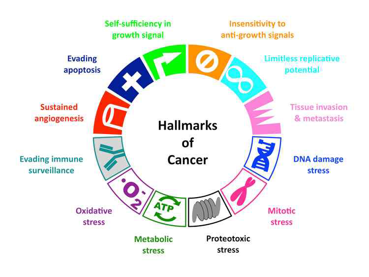 Cancer Hallmarks — Metabolism (Weinberg Hallmarks of cancer. Cell 144, 646-674 (2011))