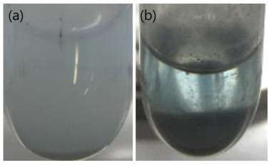 Pictures of LiCl-KCl melt containing Nd2O3 and AlCl3. Before (a) and after (b) the reaction between Nd2O3 and AlCl3