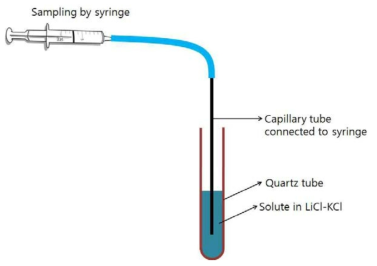 Schematic diagram of the density measurement for UCl3-LiCl-KCl molten salts