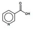 니코틴산의 화학구조