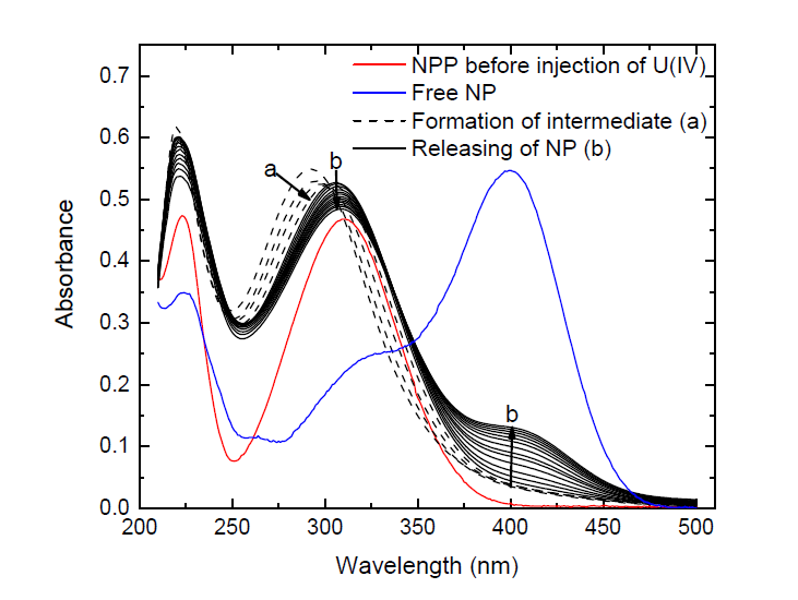 Absorption spectra of 50 µM of free NPP (red), 50 µM of free NP (blue), and reaction mixture (black) collected for initial 600 s ([NPP] = 50 μM, [U(IV)NPs] = 100 μM in 0.1 M NaClO4, pH = 7.5, 50 °C); (a) dashed lines: initial transition between two intermediates adsorbed on the surfaces of U(IV)NPs; (b)solid black lines: reduction of intermediate and formation of reaction product NP