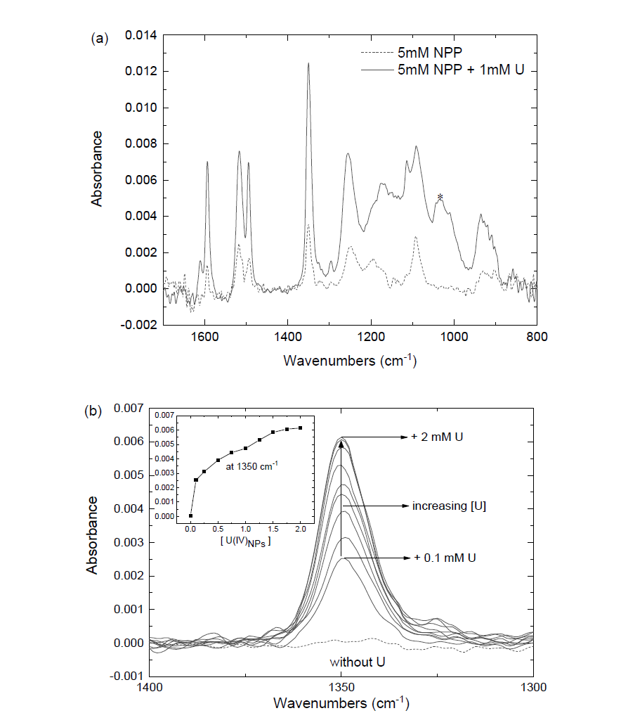 ATR-FTIR spectra of reaction mixture exhibiting SEIRA effects at pH 5.2; (a) a new peak at 1034 cm-1 noted as ‘*’ is observed in the spectrum of NPP in the presence of U(IV)NPs(solid) comparing to that of free NPP(dashed); (b) expanded spectra at 1300–1400 cm-1 (dashed line : 0.1 mM NPP without U(IV)NPs; solid lines : upon addition of 0.1–2 mM U(IV)NPs to 0.1 mM NPP (pH 3.2–2.0)